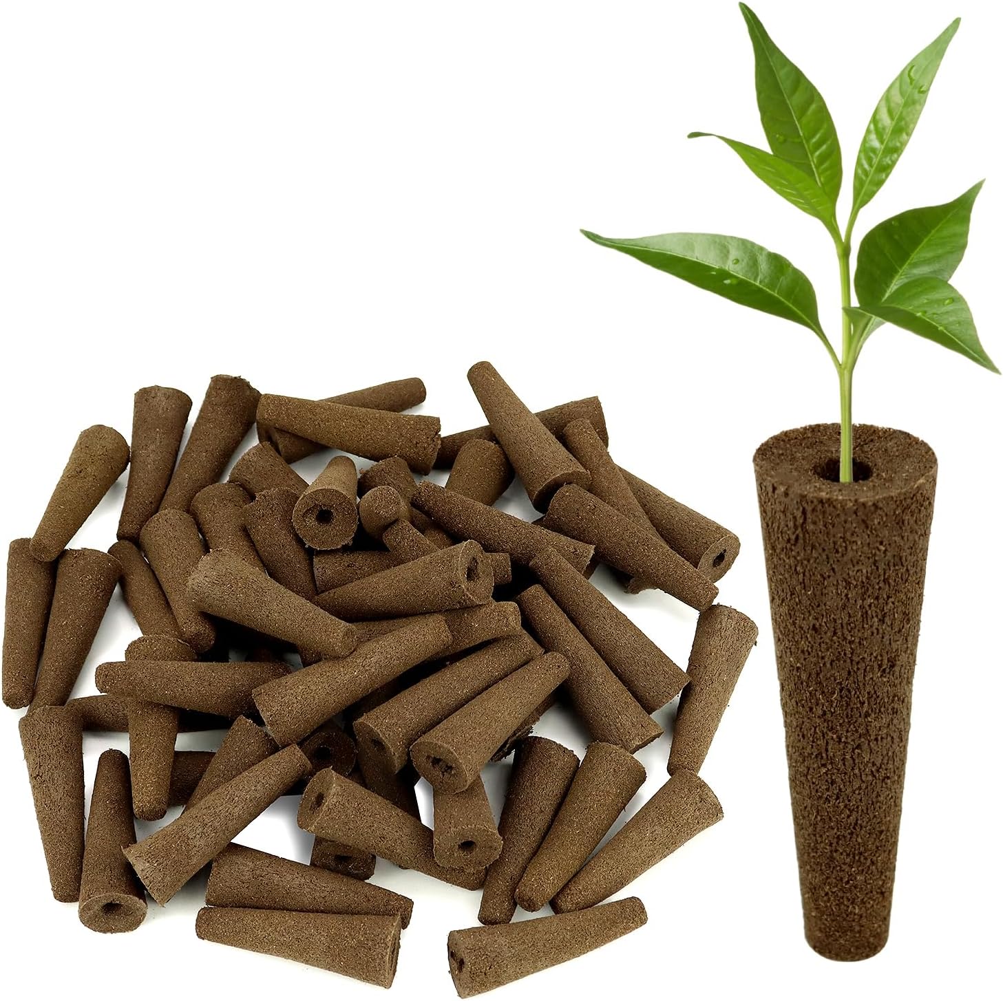 QWORK® Lot de 60 Éponges de Croissance de Remplacement, Éponges de Culture hydroponique, systèmes pour Cultures hydroponiques