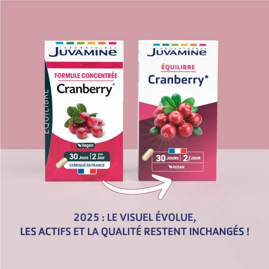 71w7ABXmQYL._AC_SL1500_