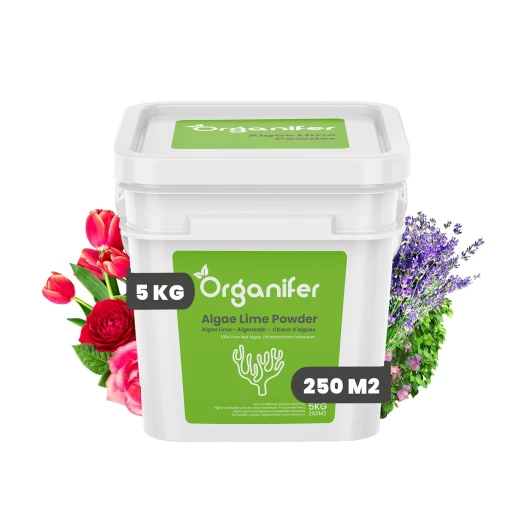 Poudre D'Algues Chaux - 5 Kg - Calcareum De Lithothamne Pur - Idéal Pour Les Buis Et L'Entretien Du Jardin - Contient Du Calcium Et Du Magnésium - Organifer