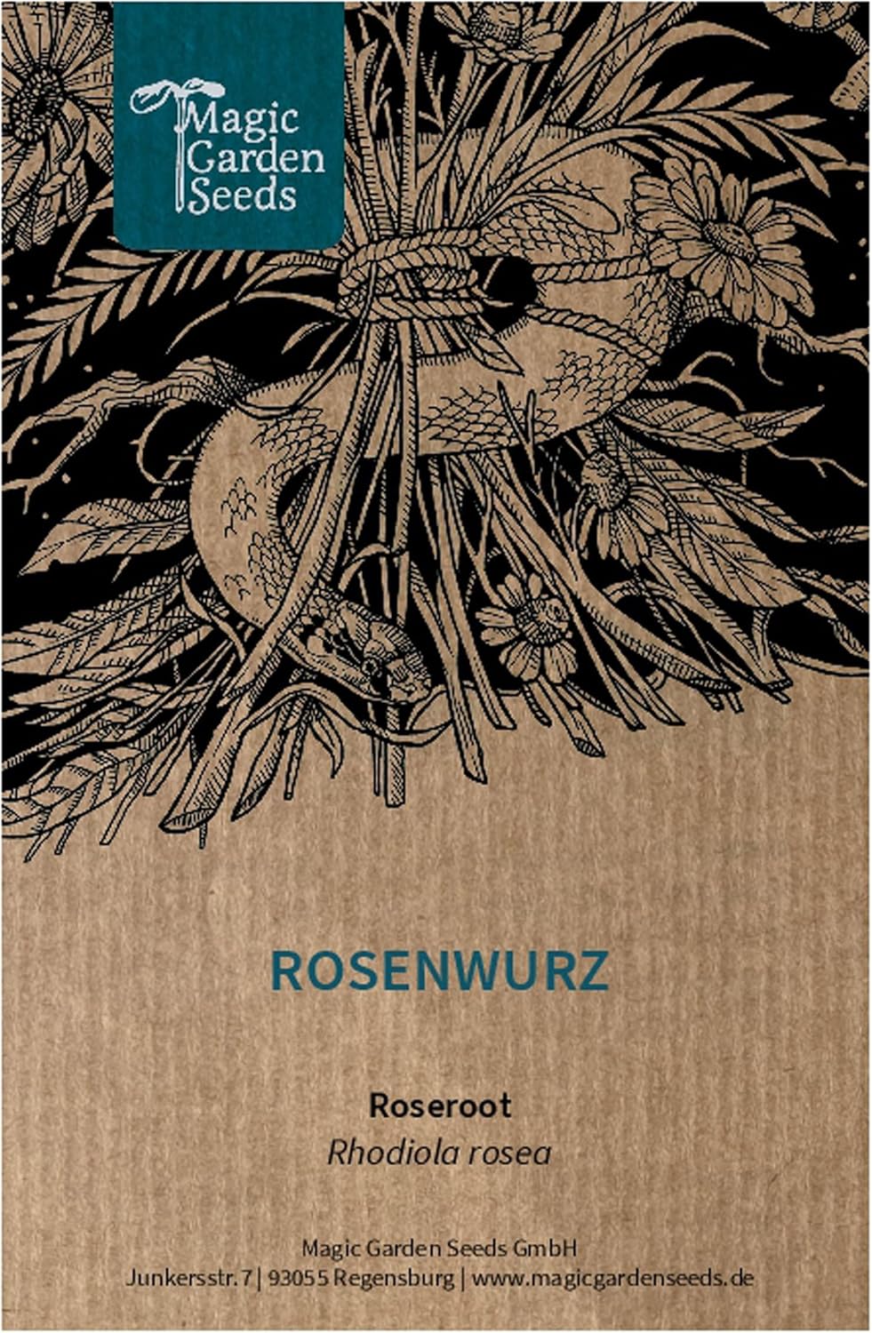 Orpin rose (Rhodiola rosea) env - 100 semences