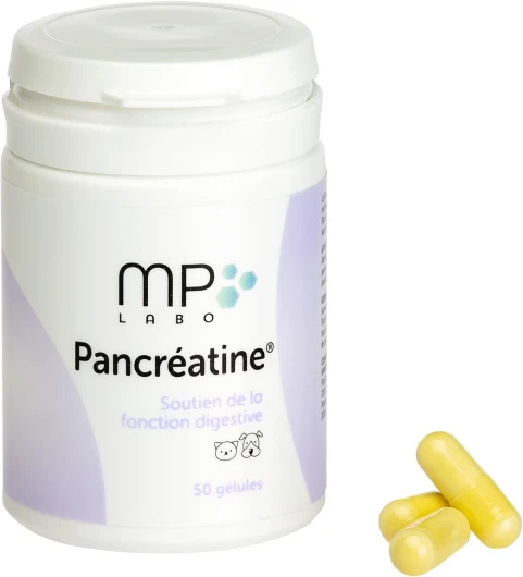 Pancreatine - Boite de 50 gélules 50 gelules
