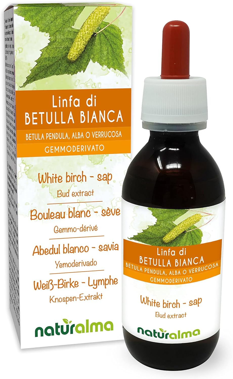 Bouleau blanc (Betula pendula, alba ou verrucosa) Gemmo-dérivé sans alcool à base de sève fraîche Naturalma - Extrait liquide gouttes 120 ml - Complément alimentaire - Végétalien ou végan Sans alcool 120 ml (Lot de 1)