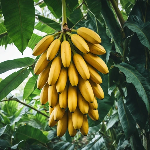 Banane
