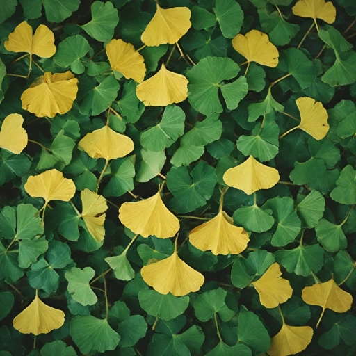 Les bienfaits de l'extrait de ginkgo biloba pour votre alimentation