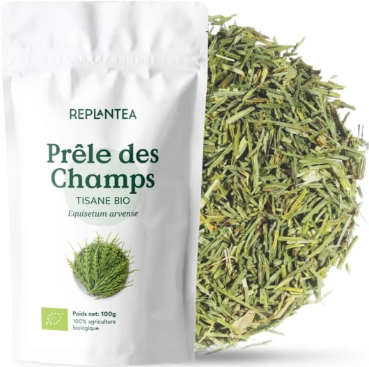 TISANE PRÊLE BIO 100g (50 Tasses) - Infusion Prêle des Champs - Equisetum arvense REPLANTEA