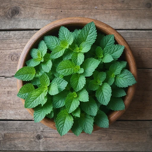 Les bienfaits de la feuille de mélisse pour votre alimentation