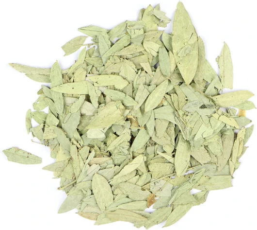 81dkYMnVFLL._AC_SL1500_