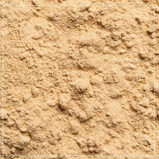81L-ymtYkbL._AC_SL1500_