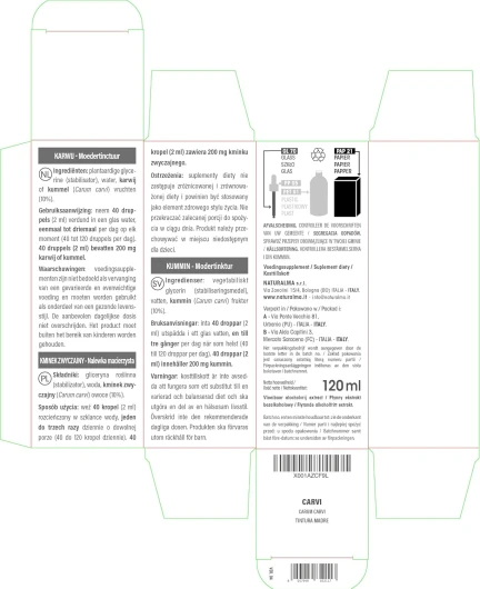 81jtuboIPCL._AC_SL1500_
