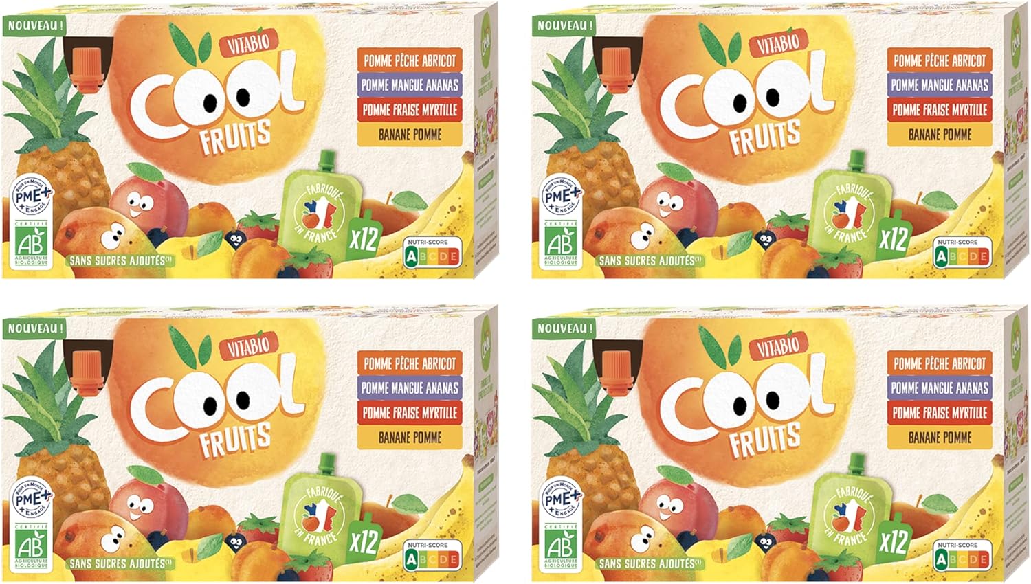 Cool Fruits - Multiparfums 4 recettes - BIO - 12x90g - Lot de 4