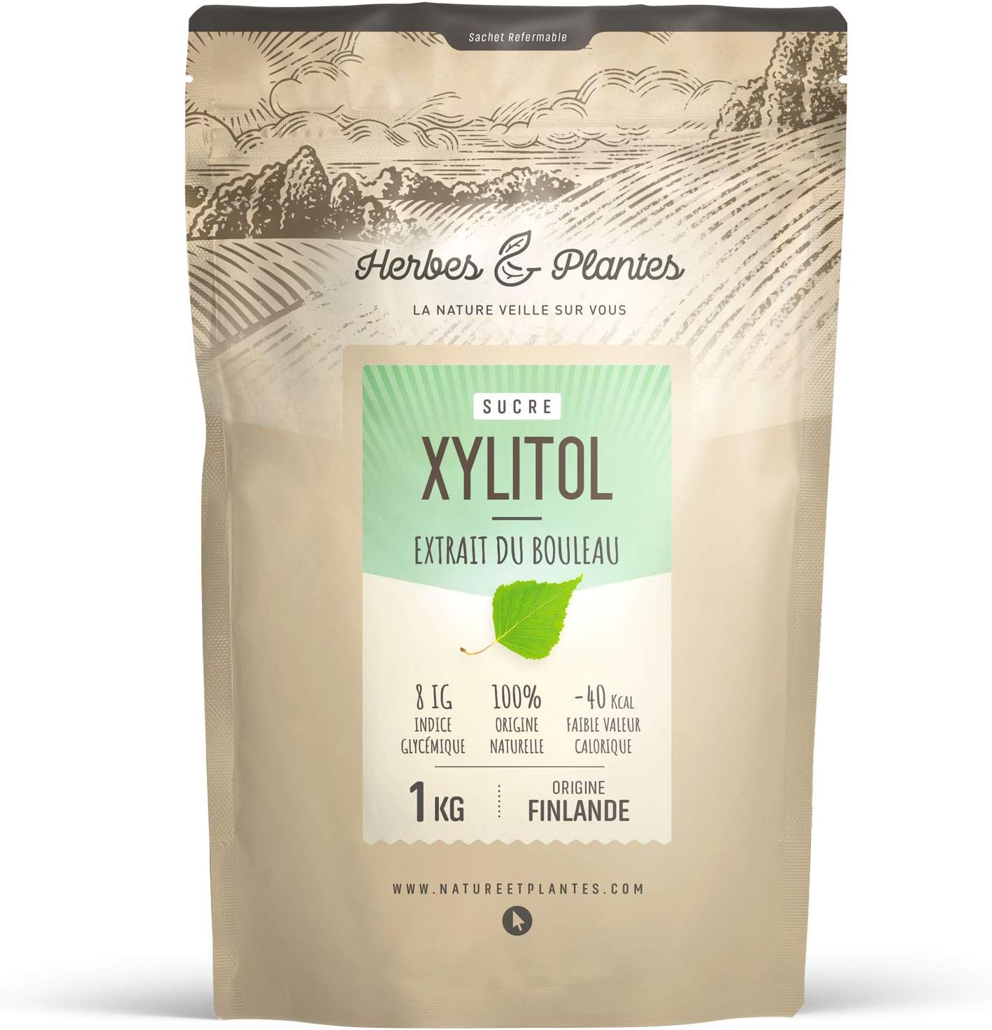 Herbes Et Plantes Xylitol Sucre de Bouleau en Poudre 1 kg 1 kg (Lot de 1)