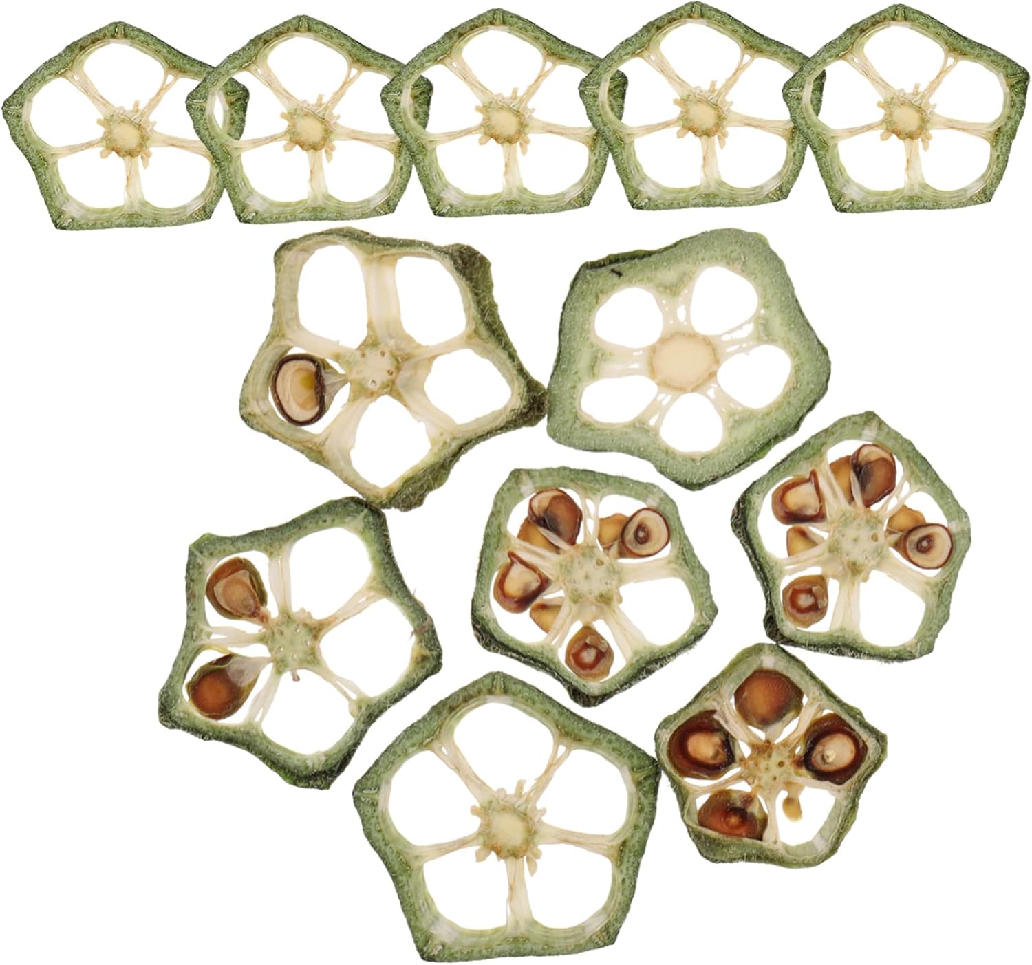 Didiseaon 12pièces Tranches De Gombo Séchées Pressées Pour Bricolage Matériaux Artisanaux De Gombo Décoration Pour Téléphone Et Créations Manuelles