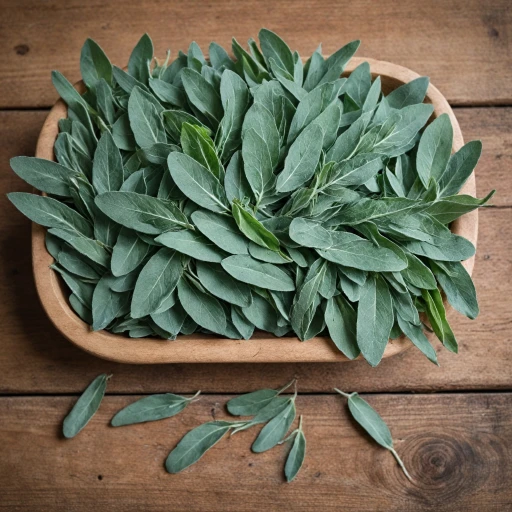 Les bienfaits de la sauge pour la nutrition