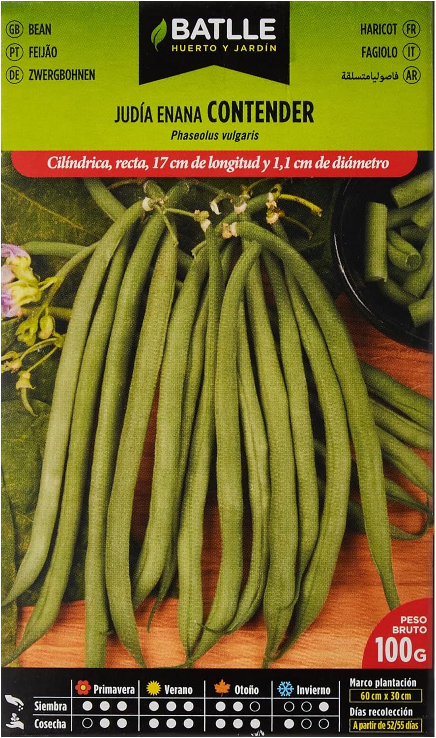 Semences Battle Graines de haricots 100g, vert