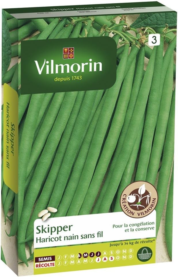 1141754 Pack de Graines Haricot Skipper Création Recommande pour Congélation Unique