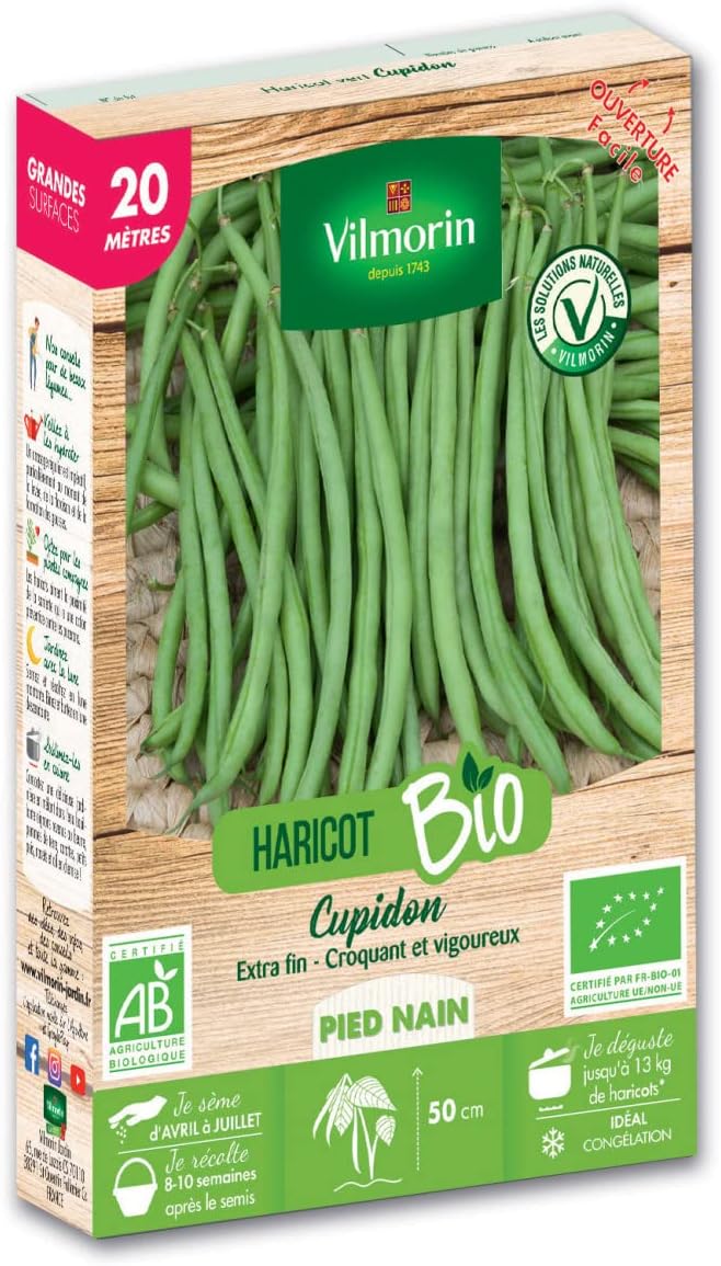 Vilmorin - Graines de Haricot Nain Vert Cupidon BIO - 20 mètres