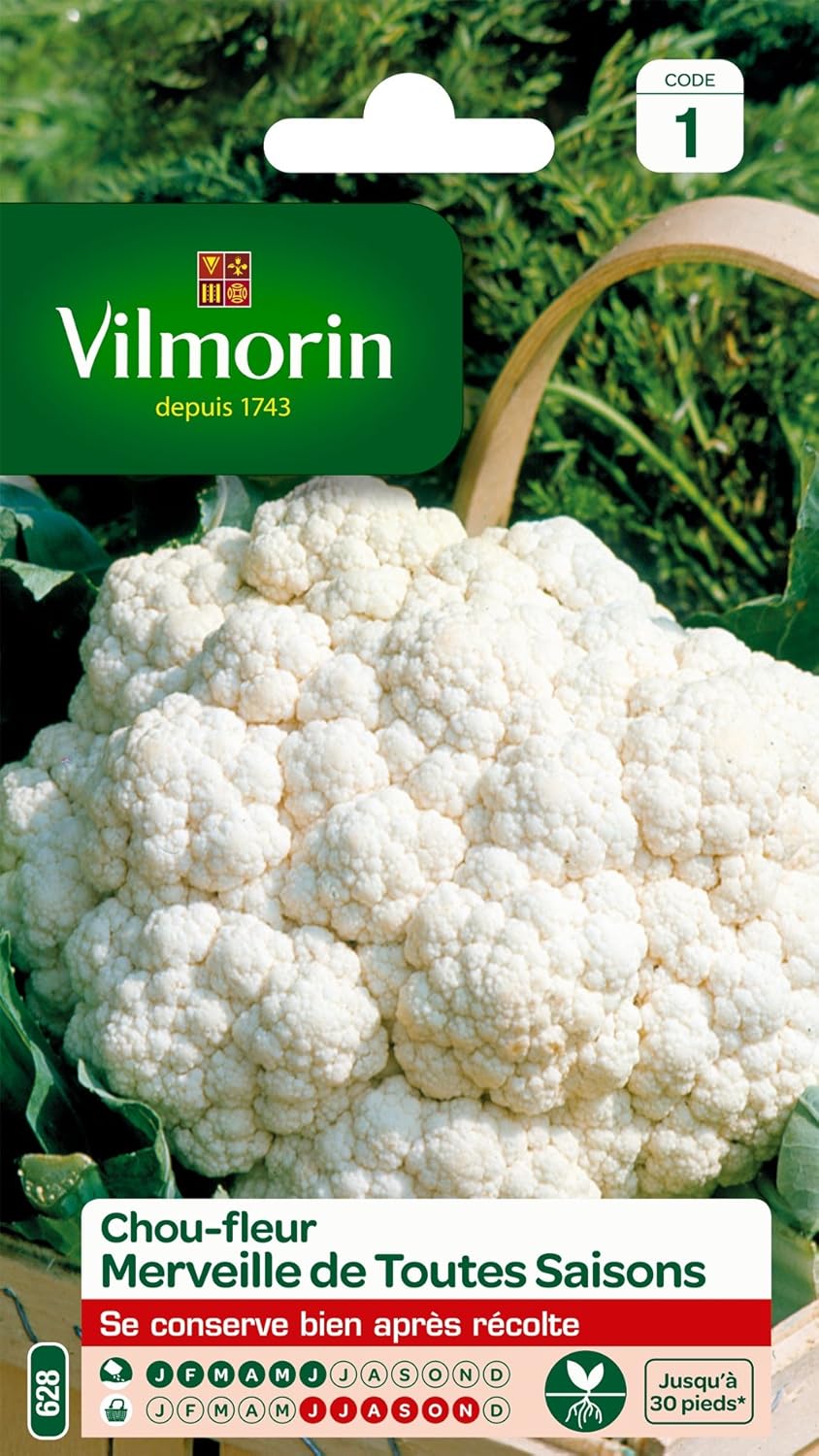 3353141 Chou Fleur Merveille, Blanc, 90 x 2 x 140 cm