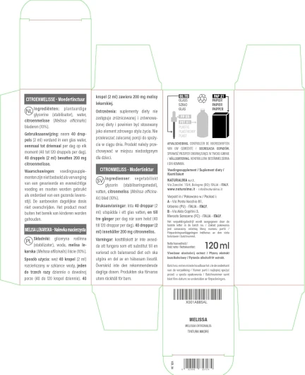 81iFGXaEPBL._AC_SL1500_