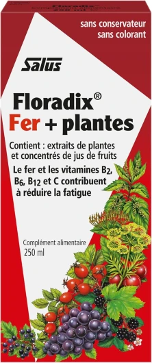 Floradix® Fer + Plantes - Formule Liquide Anti-Fatigue Riche en Fer - Enrichi en Vitamine C pour une Bonne Absorption - 250 ml 250 ml (Lot de 1)