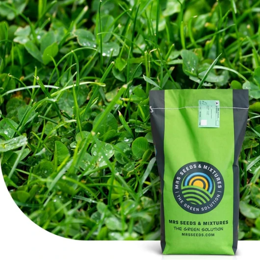 Clover Lawn: Semences de gazon avec micro trèfle - 2 kg - 100 m² - Pelouse luxuriante et durable - Résistance à la sécheresse - Nécessite peu d'entretien - Idéal pour les zones ombragées 2 kilogramme - 100 m²