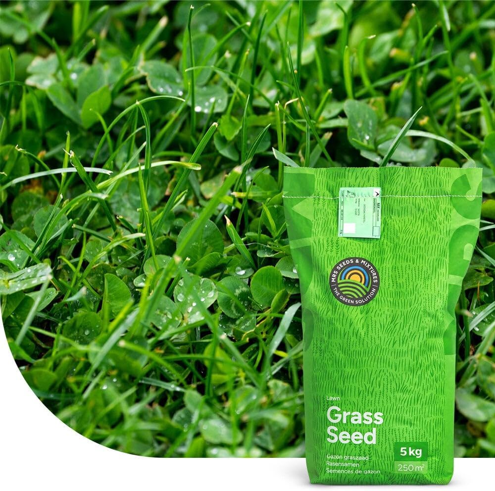 Clover Lawn: Semences de gazon avec micro trèfle - 2 kg - 100 m² - Pelouse luxuriante et durable - Résistance à la sécheresse - Nécessite peu d'entretien - Idéal pour les zones ombragées 2 kilogramme - 100 m²