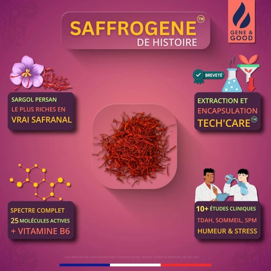 81bePlUjJ3L._AC_SL1500_
