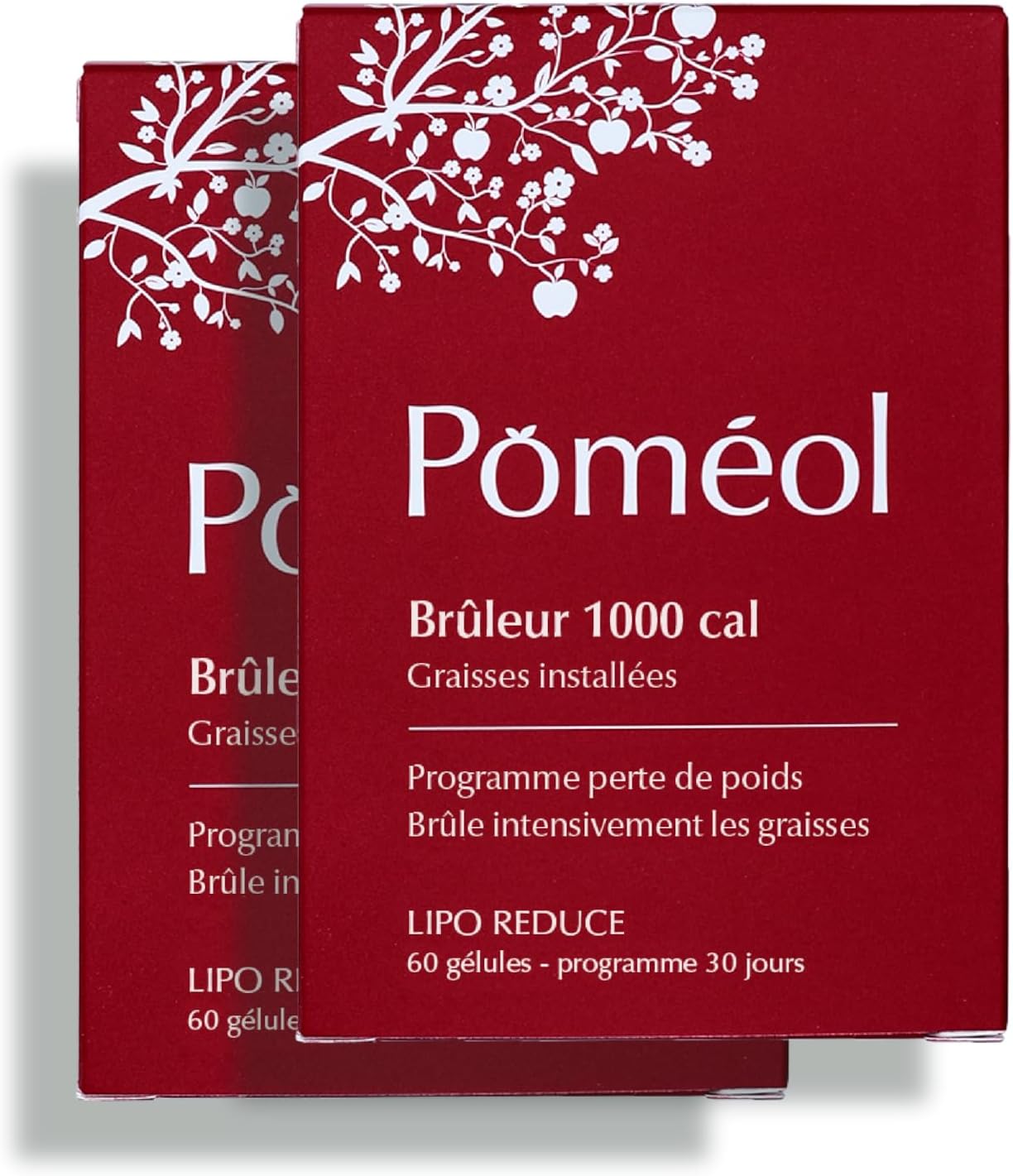 Brûleur de Graisse Puissant & Efficace 1000 Cal ǀ Complément alimentaire Minceur ǀ Programme Perte de poids ǀ Brûleur 1000 ǀ Graisses, Calories et Ventre ǀ Formule brevetée ǀ POMEOL ǀ 60 jours Format 60 jours (Nouveau Packaging)