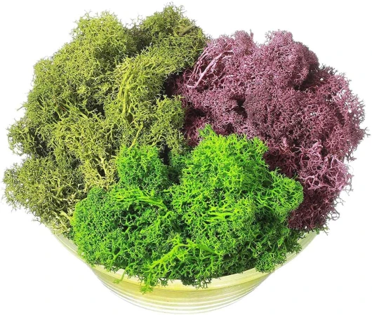 AMIUHOUN Mousse décorative artificielle verte mousse 300 g - Mélange de fleurs séchées espagnoles - C