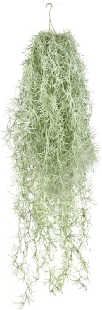 Fausse mousse espagnole, mousse suspendue artificielle, faux plastique en plastique de vigne suspendue espagnole, décoration mousse d'air espagnole mur de plante suspendue pour plantes en pot artisan