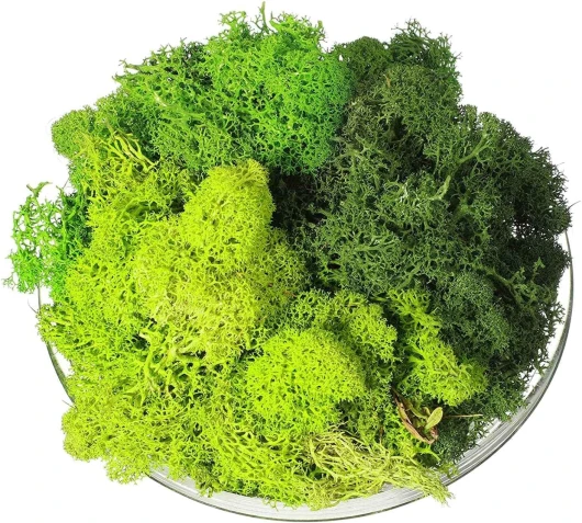 AMIUHOUN Mousse décorative artificielle verte mousse 300 g - Mélange de fleurs séchées espagnoles - B