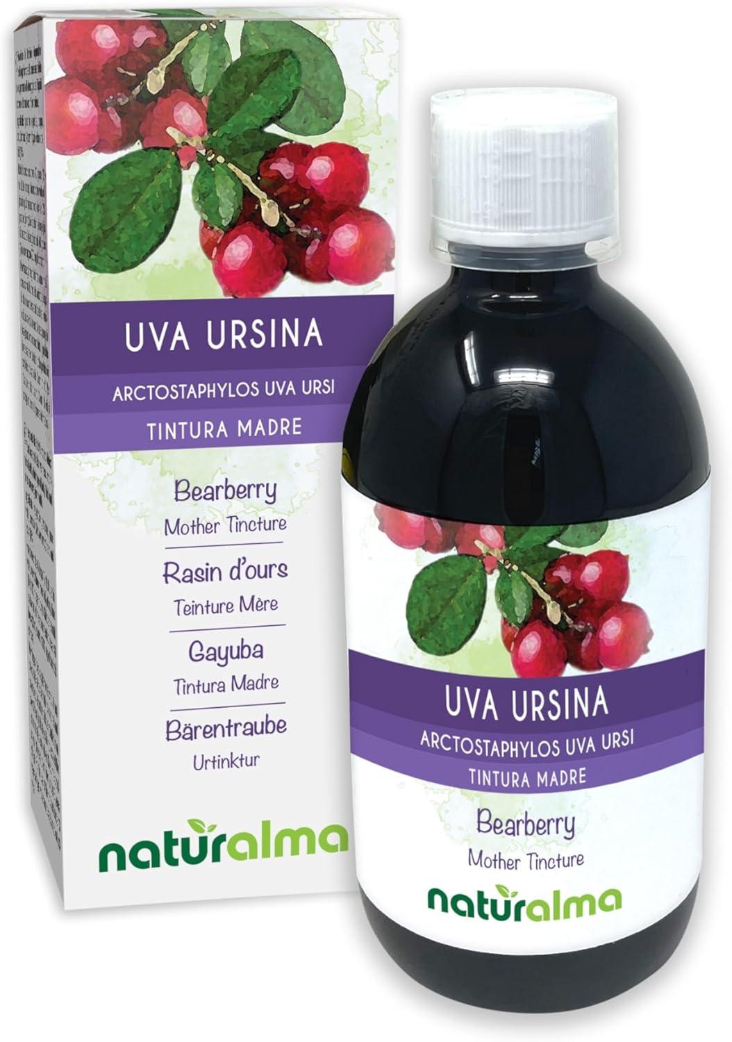 Raisin d'ours ou Busserole (Arctostaphylos uva ursi) feuilles Teinture Mère sans alcool Naturalma - Extrait liquide gouttes 500 ml - Complément alimentaire - Végétalien ou végan Sans alcool 500 ml (Lot de 1)