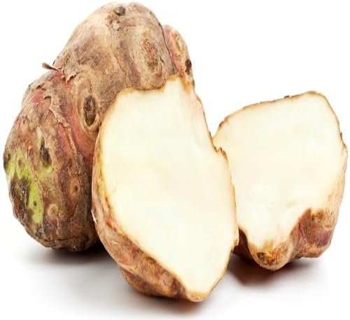 70 graines de légumes Topinambur