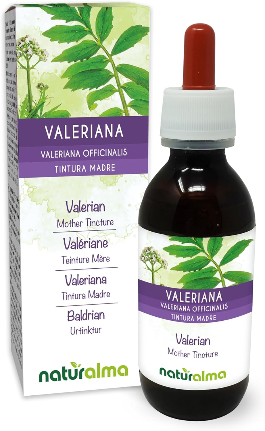 Valériane (Valeriana officinalis) racines Teinture Mère sans alcool Naturalma - Extrait liquide gouttes 120 ml - Complément alimentaire - Végétalien ou végan Sans alcool 120 ml (Lot de 1)