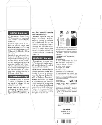 81wmBnvwM3L._AC_SL1500_