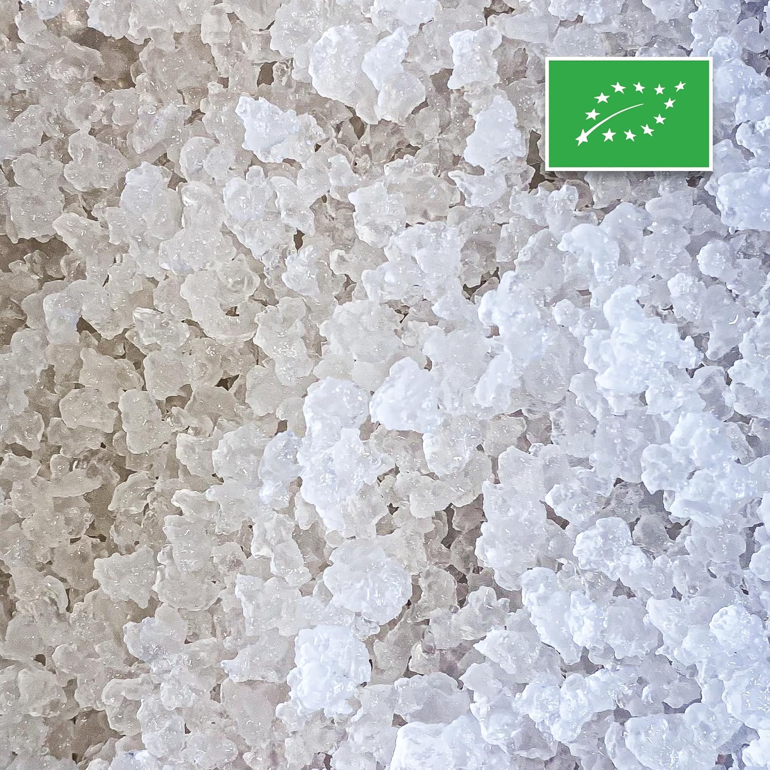 BIO grains de kéfir de fruit - Réutilisables - Controlés - Fabriqués en France - Recette complète incluse (Sec)