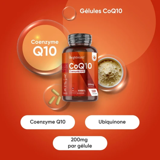 615s3uZbnOL._AC_SL1500_