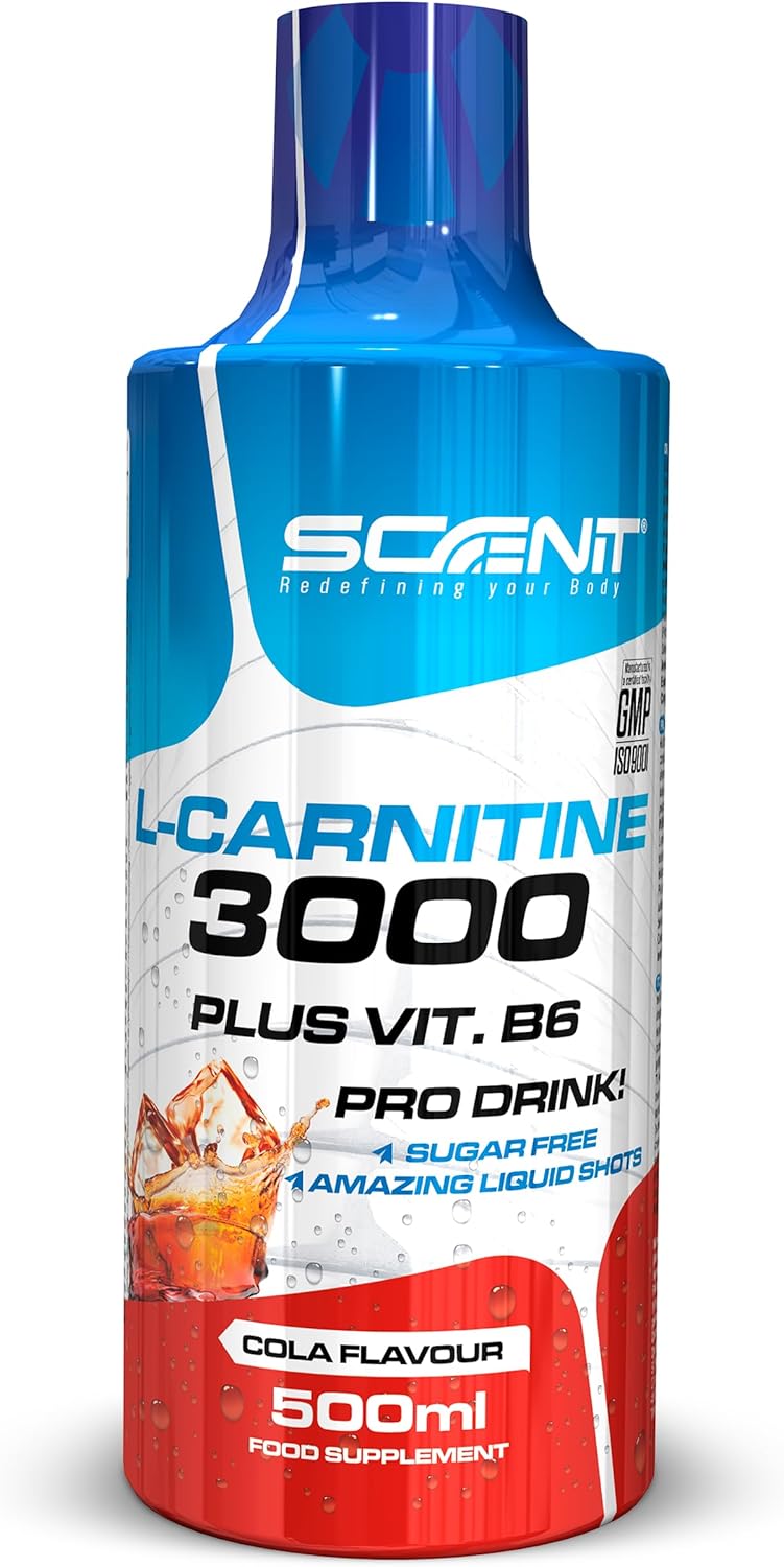 L Carnitine 3000 - L Carnitine - L-Carnitine - L Carnitine Liquide - Carnitine Liquide - LCarnitine - Carnitine Pure - L-Carnitine Liquide - 500 ml (Cola)