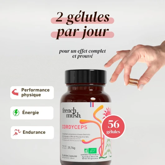 61EDvYVmj3L._AC_SL1500_