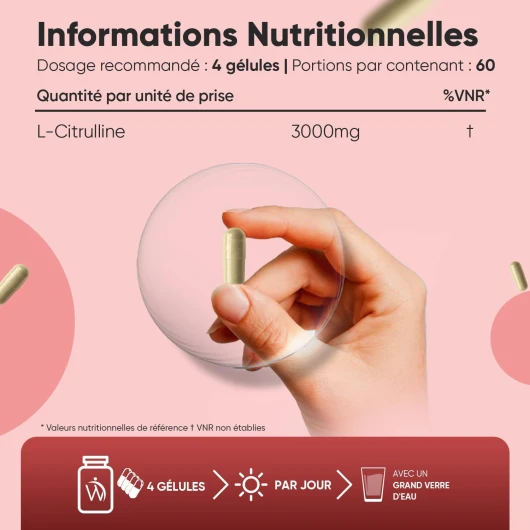 61xIln09FiL._AC_SL1500_