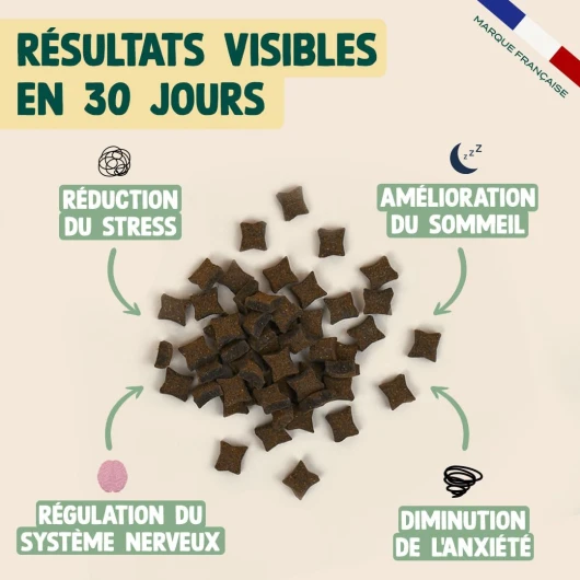 61DKouY17 L._AC_SL1080_