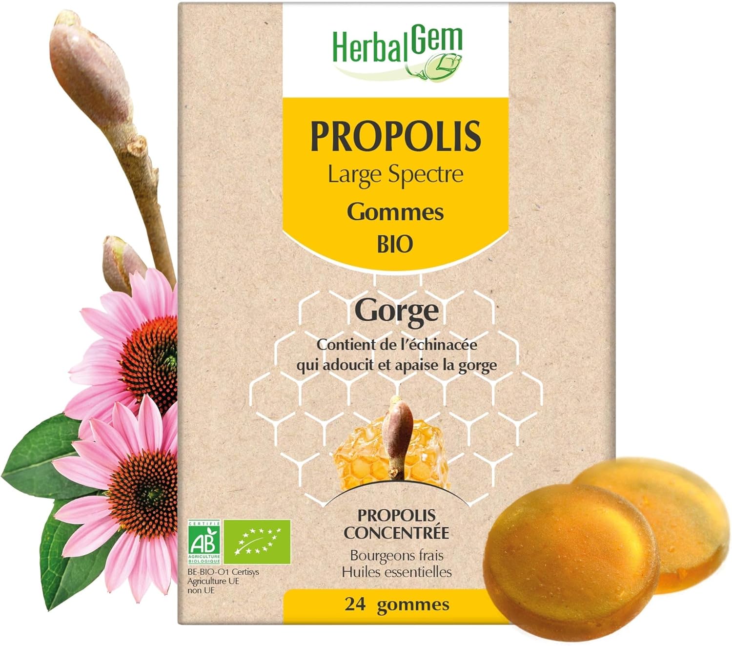 Propolis Large Spectre Gommes Bio 24 Gommes