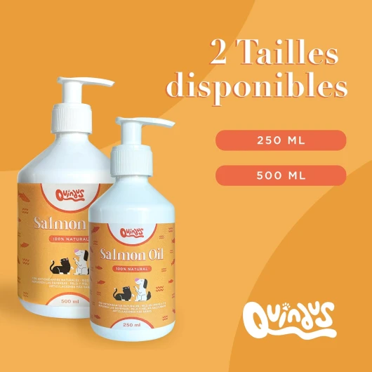 71mpkkjLEBL._AC_SL1500_