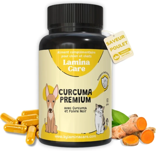 Anti Inflammatoire Chien et Chat pour Renforcer Le Système Immunitaire, Les Articulation Chien et Soutenir Le Système Digestif avec Action Antioxydant à Base de Curcuma et Pipérine