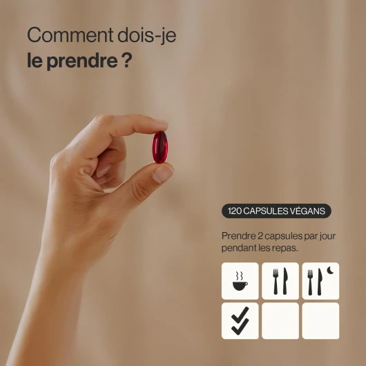 61PimENmGHL._AC_SL1500_