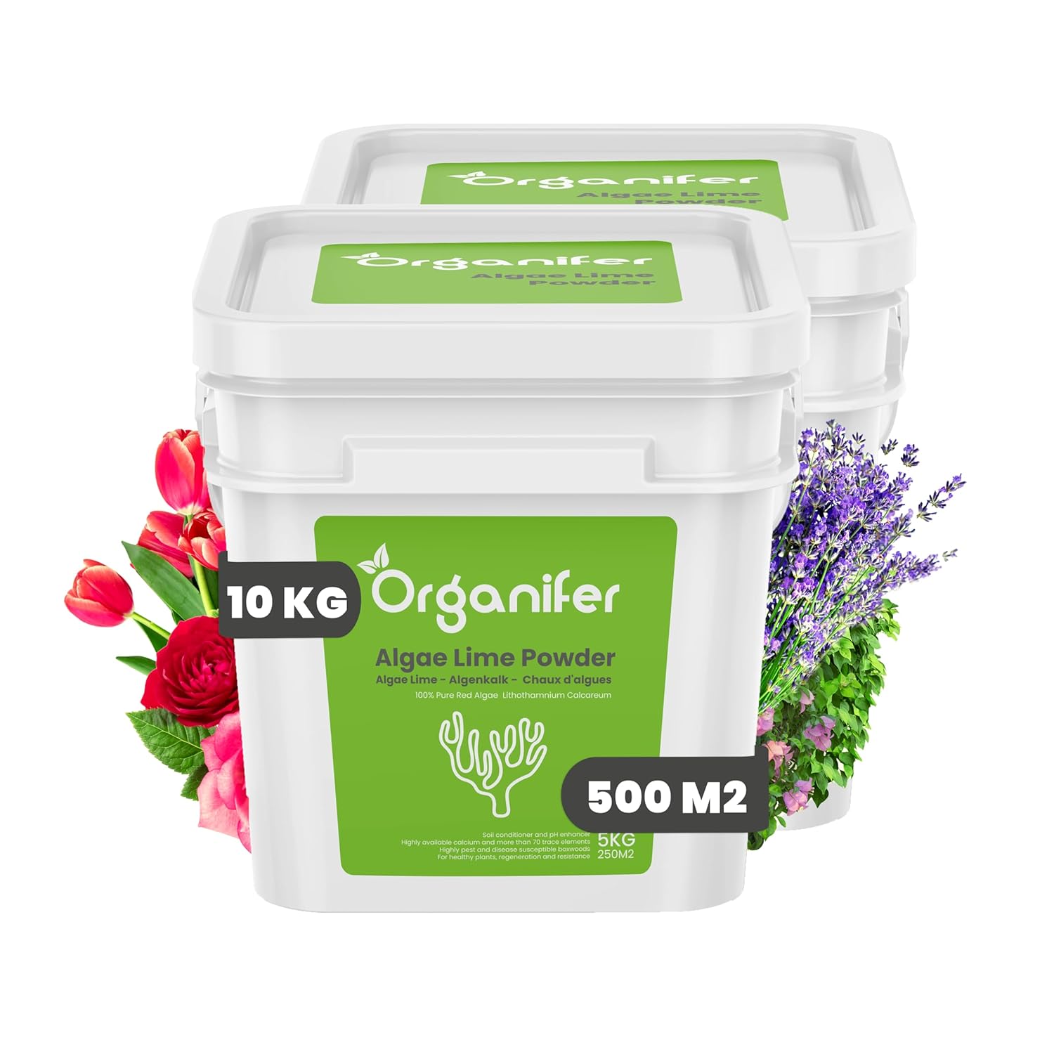 Poudre De Chaux D'Algues - 10 Kg - Calcareum De Lithothamne Pur - Idéal Pour L'Entretien Des Buis Et Du Jardin - Contient Du Calcium Et Du Magnésium - Organifer