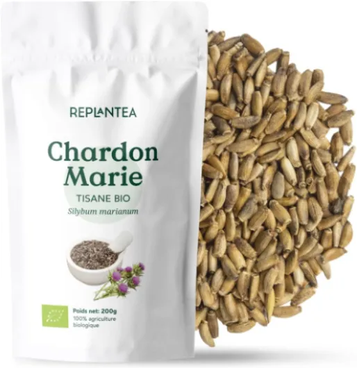 CHARDON MARIE TISANE BIO 200g (100 Tasses) - Chardon Marie Graines - Tisane Purifiante pour le Foie REPLANTEA