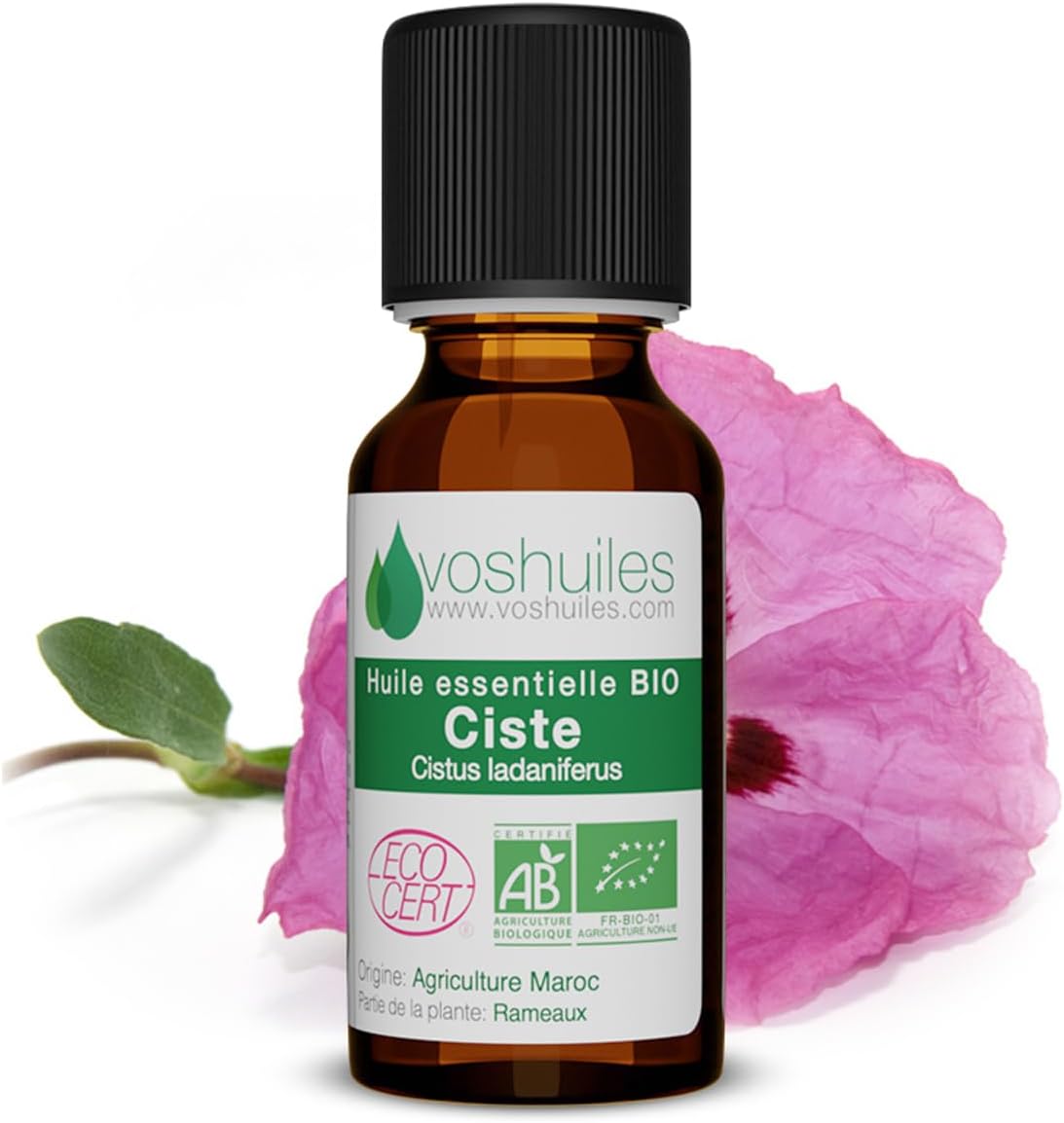Voshuiles - Huile Essentielle Ciste Ladanifère Bio 5ml - Parfum Frais - Diluer avec Huile Végétale - Soin Peau - Huiles Essentielles de Qualité - 100% Pure et Naturelle - HEBBD et Certifiée ECOCERT Ciste Ladanifère BIO 5 ml (Lot de 1)
