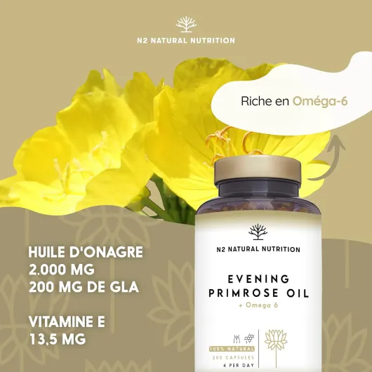 71CD2hCAahL._AC_SL1500_