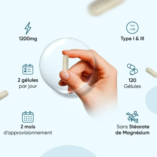 61O4v6MbJdL._AC_SL1500_