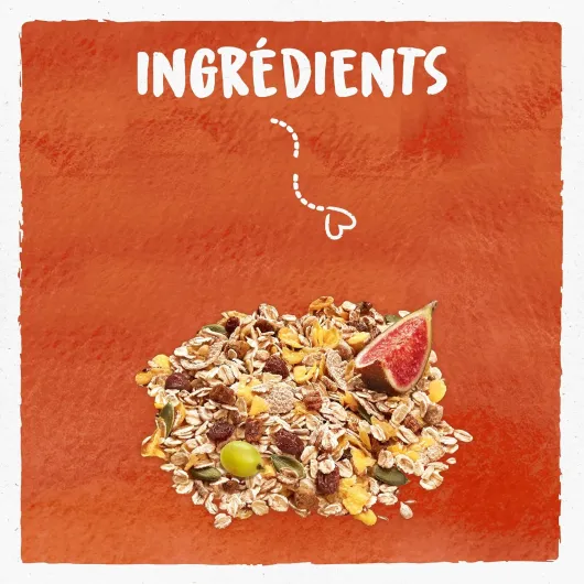 91XGdoo3fmL._AC_SL1500_